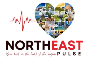 cropped-NE_logo.png